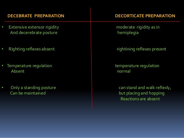 Posture ppt